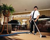 Cleaning Carpet